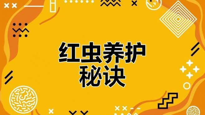 如何確保紅蟲的清潔度