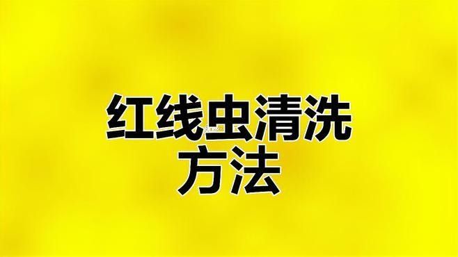如何確保紅蟲的清潔度