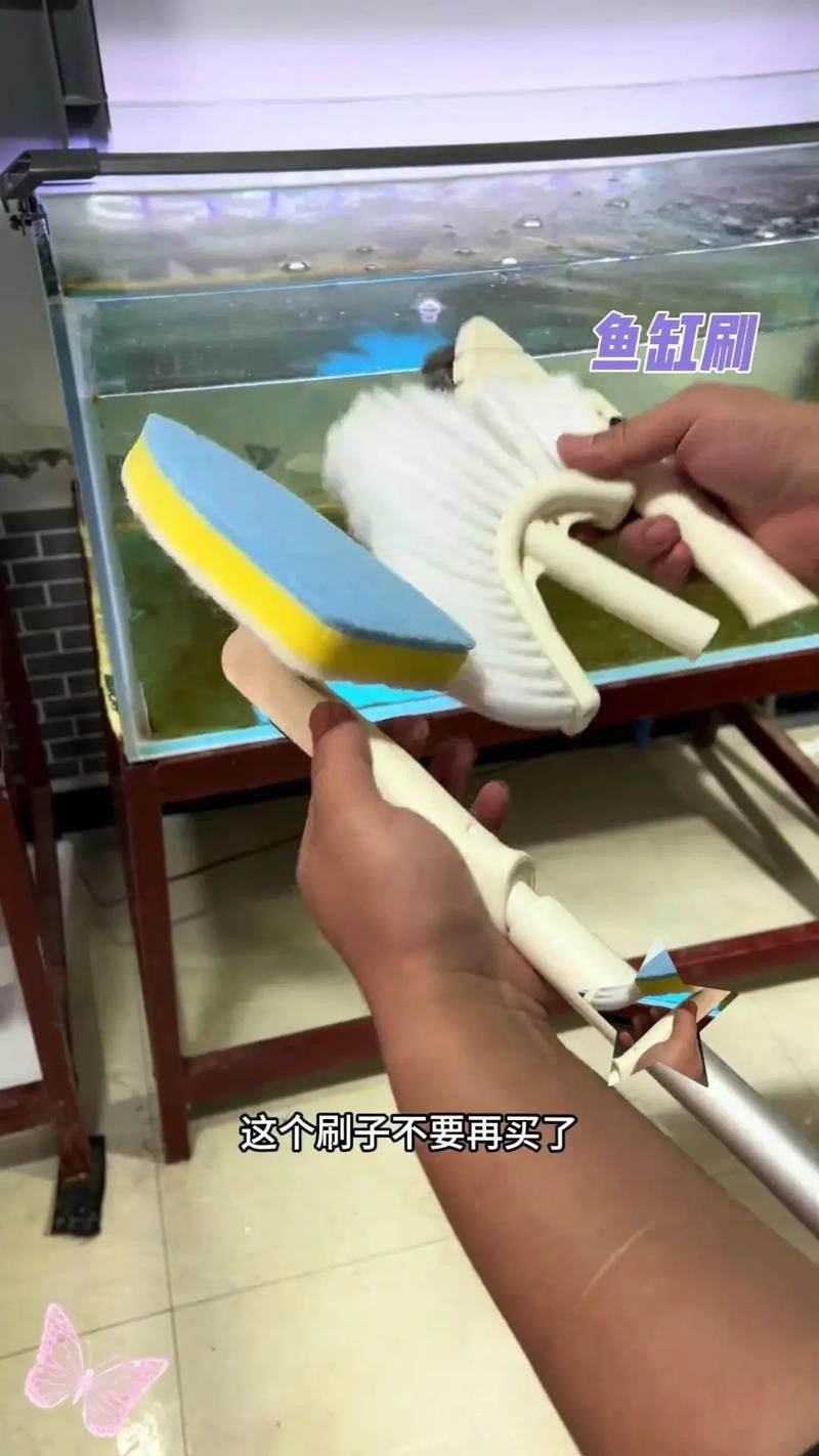南屏山龍魚的最佳刷取方法 南屏山龍魚的最佳刷取方法 龍魚百科 第1張