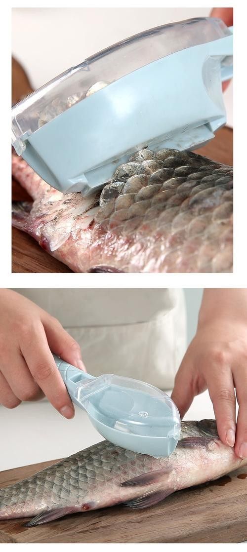 南屏山龍魚的最佳刷取方法 南屏山龍魚的最佳刷取方法 龍魚百科 第2張