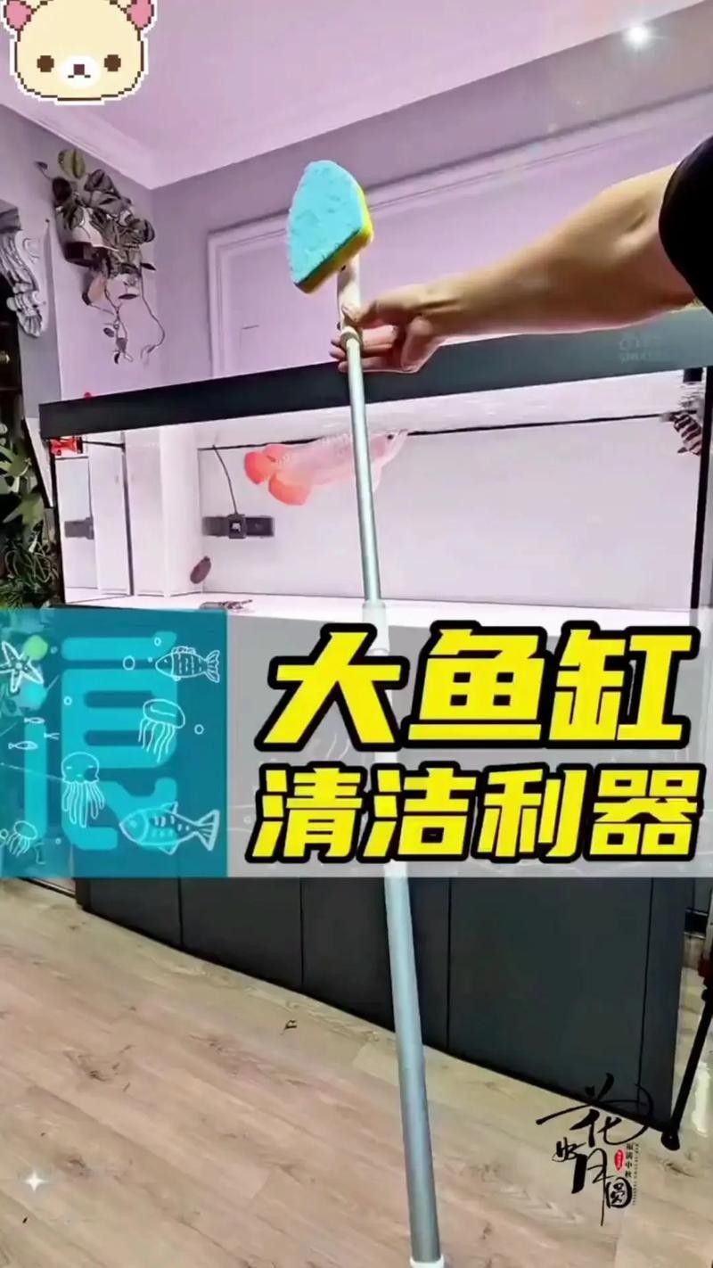 南屏山龍魚的最佳刷取方法 南屏山龍魚的最佳刷取方法 龍魚百科 第4張