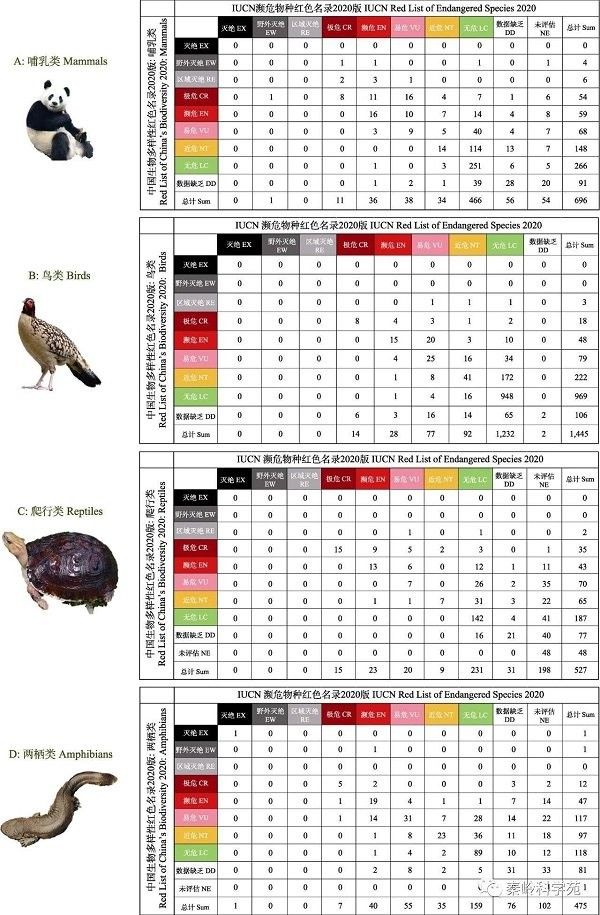 蠑螈保護級別是如何確定的