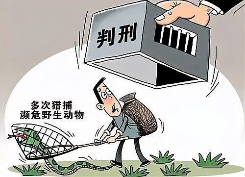 蠑螈保護級別是如何確定的