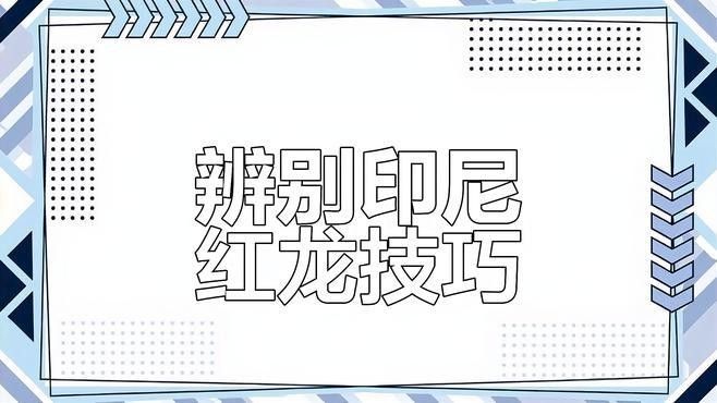 如何區分不同級別的龍魚？