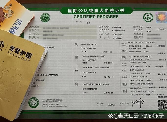 如何判斷金龍魚血統純度（判斷金龍魚血統純度的方法主要涉及以下幾個方面）