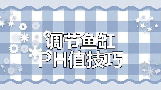 如何穩定紅龍魚缸中的pH值 如何穩定紅龍魚缸中的pH值 龍魚百科 第9張