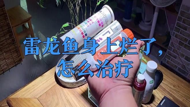 龍魚爛身病多久會死？（魚類常見疾病之“爛身”問題）