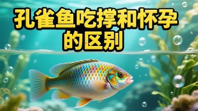 如何判斷孔雀龍魚是否吃飽？（判斷孔雀龍魚是否吃飽通常涉及以下幾個方面） 如何判斷孔雀龍魚是否吃飽？（判斷孔雀龍魚是否吃飽通常涉及以下幾個方面） 龍魚百科 第1張