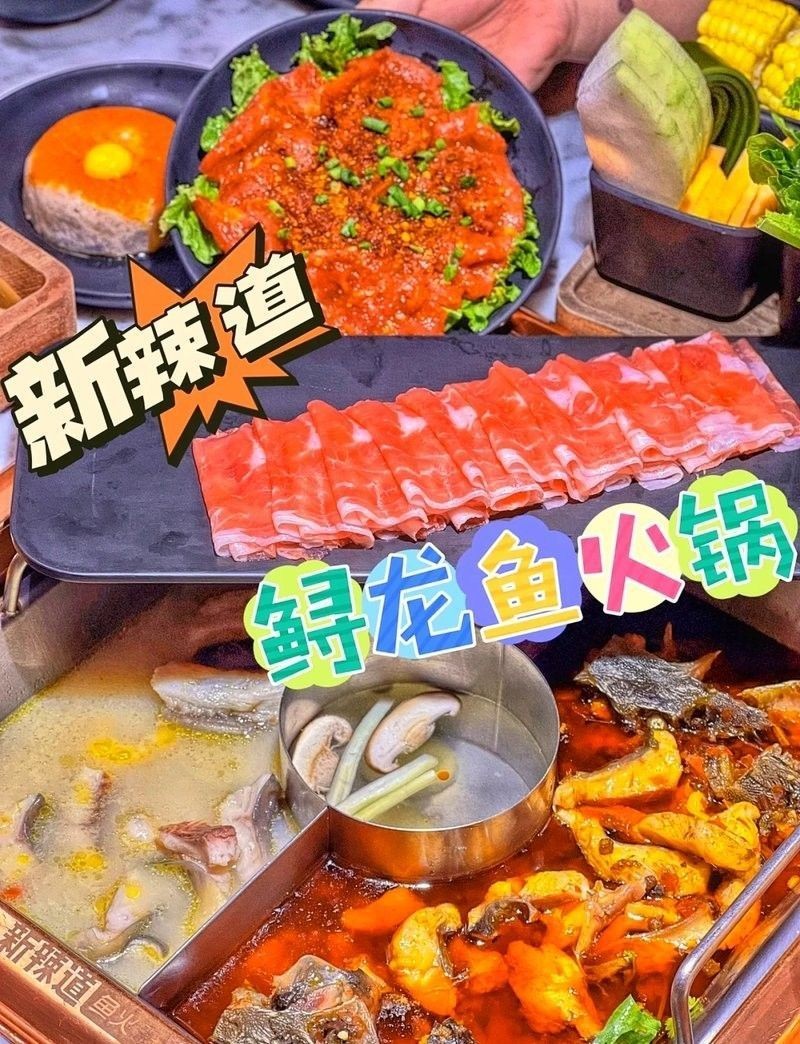 如何預(yù)訂新龍魚(yú)火鍋的位置（如何通過(guò)美團(tuán)預(yù)訂新龍魚(yú)火鍋？） 如何預(yù)訂新龍魚(yú)火鍋的位置（如何通過(guò)美團(tuán)預(yù)訂新龍魚(yú)火鍋？） 龍魚(yú)百科 第10張