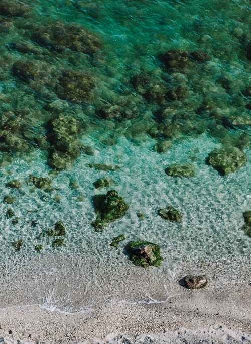蒲縣哪個水族館龍魚好？祥龍魚場龍魚