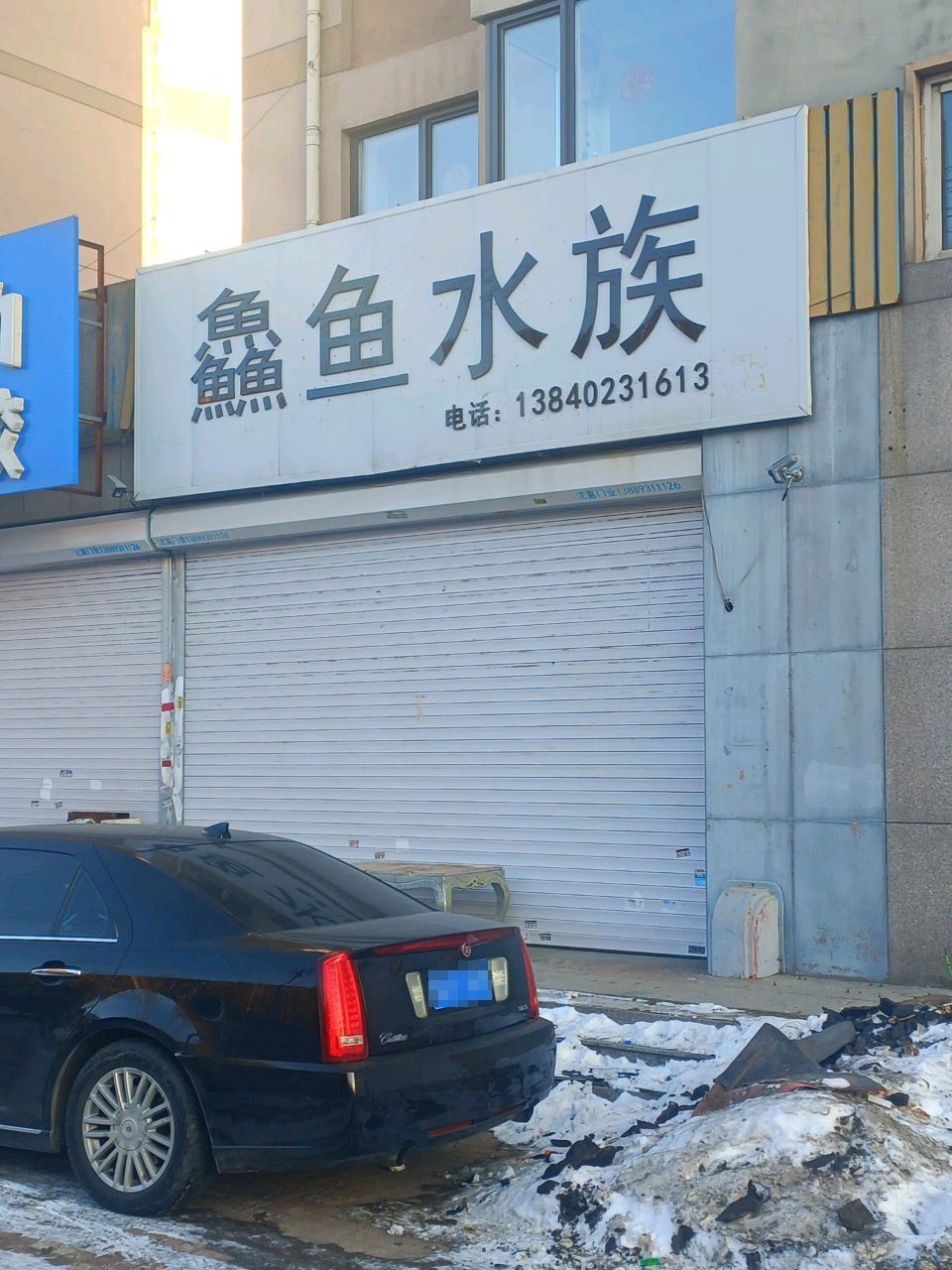 沈陽哪個(gè)水族館龍魚好？祥龍魚場龍魚