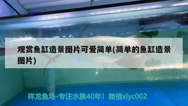 撫州魚缸定制店地址查詢大全的簡單介紹（各類魚缸定制店地址查詢大全）