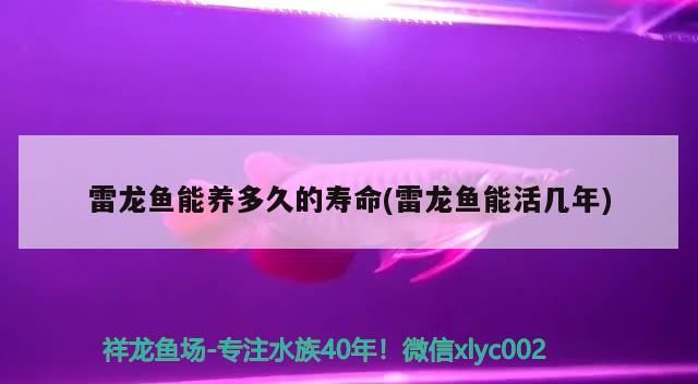 撫州魚缸定制店地址查詢大全的簡單介紹（各類魚缸定制店地址查詢大全）