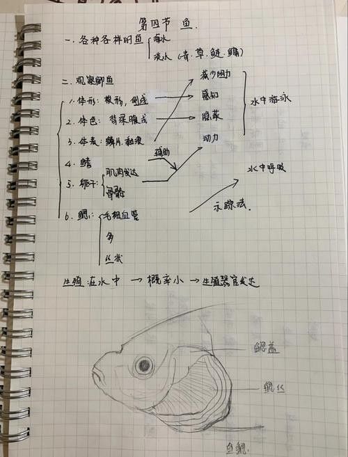 如何預(yù)防龍魚翹頭游？