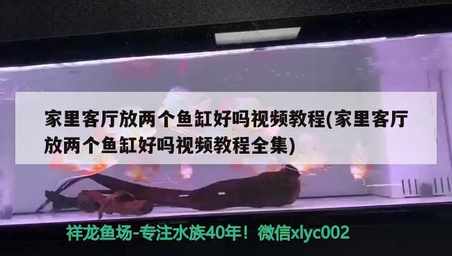 家里客廳放兩個魚缸好嗎視頻教程(家里客廳放兩個魚缸好嗎視頻教程全集) 家里客廳放兩個魚缸好嗎視頻教程(家里客廳放兩個魚缸好嗎視頻教程全集) 觀賞魚百科
