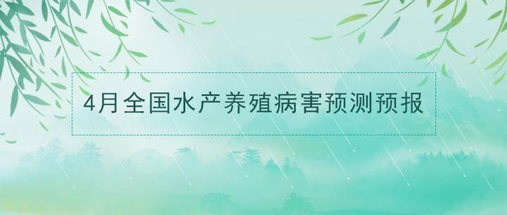 六角龍魚腿爛了會(huì)傳染嗎？