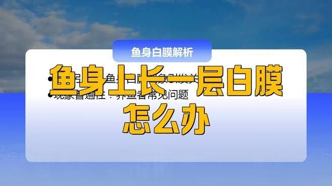 火龍魚白膜病治療周期