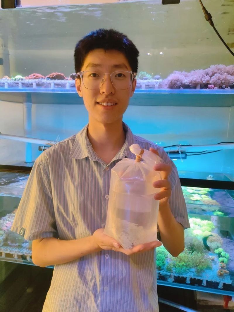 如何通過線上平臺找到龍魚交流群