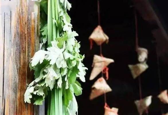 紅龍與金龍魚混養(yǎng)：紅龍魚和金龍魚可以混養(yǎng)嗎 紅龍與金龍魚混養(yǎng)：紅龍魚和金龍魚可以混養(yǎng)嗎 觀賞魚百科 第1張