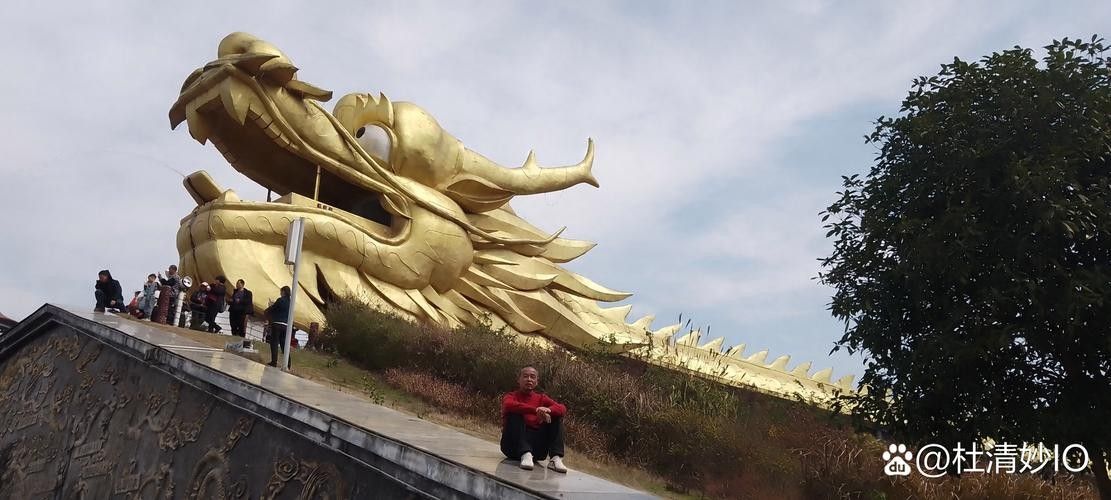 濟南黃河岸畔現“金色巨龍”（濟南黃河岸畔現“金色巨龍”奇觀）
