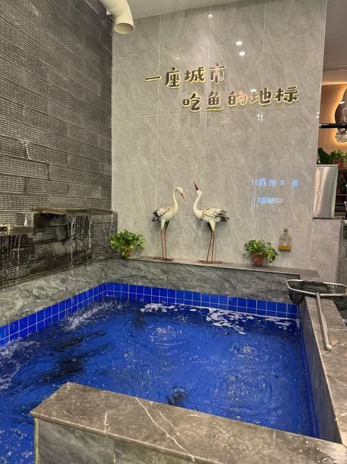荊州金龍魚體驗館開放時間是（荊州金龍魚體驗館開放時間未明確提及荊州金龍魚體驗館開放時間）