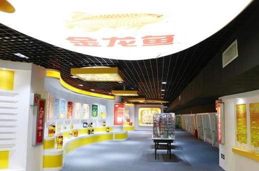 荊州金龍魚體驗館開放時間是（荊州金龍魚體驗館開放時間未明確提及荊州金龍魚體驗館開放時間）