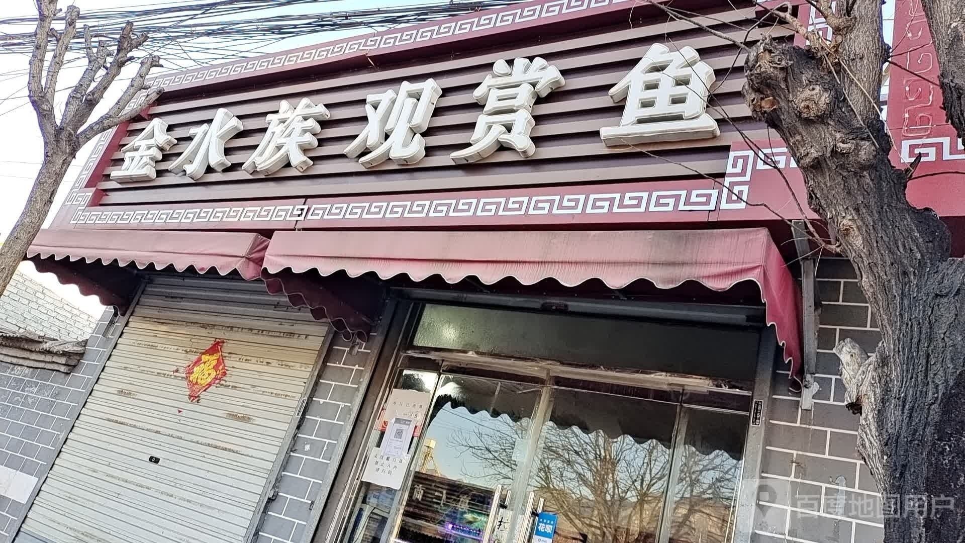 潼關哪個水族館龍魚好？祥龍魚場龍魚
