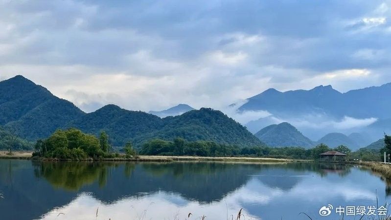 四角龍魚棲息地破壞有多嚴重（全球四分之一淡水物種瀕臨滅絕|海洋與濕地中國綠發會，警惕！）