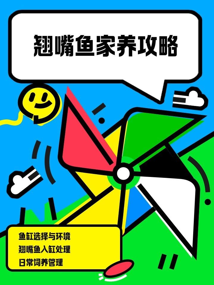 龍魚翹嘴的最佳養殖環境 龍魚翹嘴的最佳養殖環境 龍魚百科 第4張