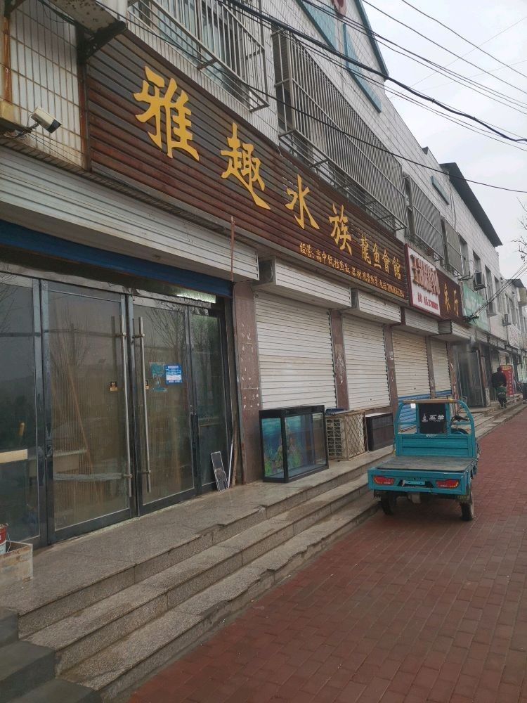 東昌府區龍魚水族店地址在哪里（東昌府區哪家龍魚水族店口碑最好？） 東昌府區龍魚水族店地址在哪里（東昌府區哪家龍魚水族店口碑最好？） 龍魚百科 第3張