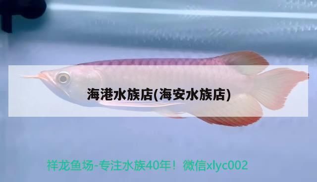 海港水族店(<strong><mark>海安</mark></strong>水族店)