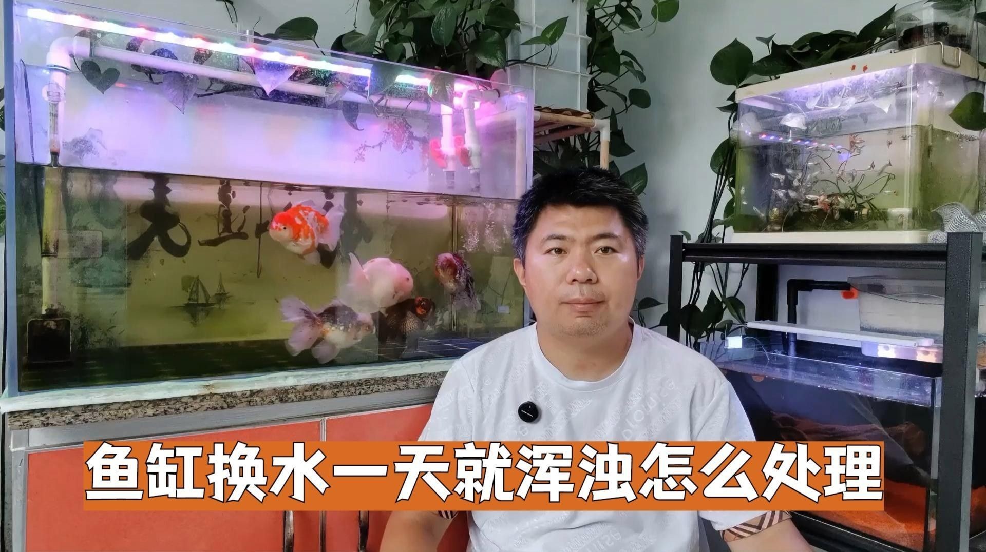 發(fā)情期換水后如何恢復(fù)水質(zhì)？（關(guān)于如何恢復(fù)發(fā)情期后魚缸水質(zhì)的建議觀察魚缸水質(zhì)的建議）