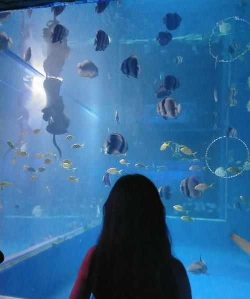 柳州哪個水族館龍魚好？祥龍魚場龍魚 柳州哪個水族館龍魚好？祥龍魚場龍魚 龍魚百科 第6張