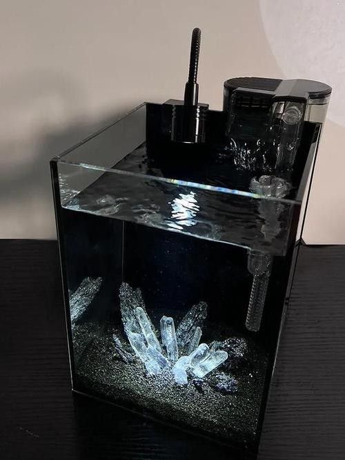 如何選擇適合黑底透光的魚缸（適合黑底透光的魚缸需要考慮幾個關鍵因素以確保獲得最佳效果）