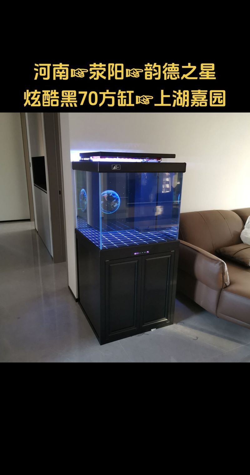 如何選擇適合黑底透光的魚缸（適合黑底透光的魚缸需要考慮幾個關鍵因素以確保獲得最佳效果）