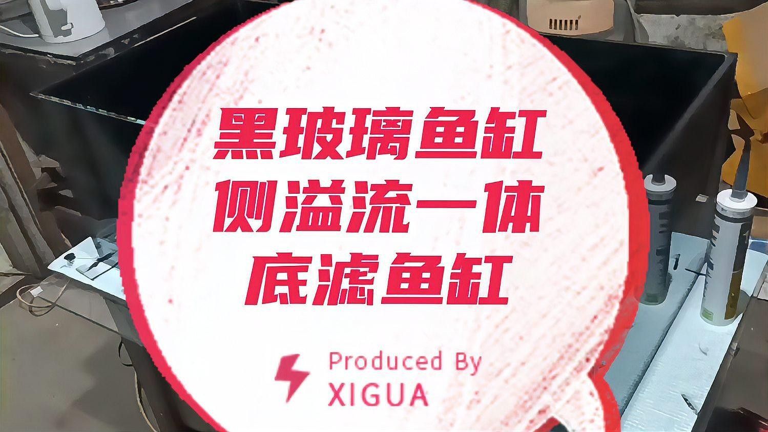 如何選擇適合黑底透光的魚缸（適合黑底透光的魚缸需要考慮幾個關鍵因素以確保獲得最佳效果）