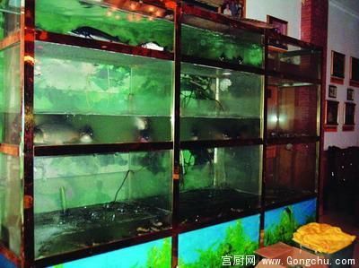 廣東魚缸批發市場在哪里進貨便宜：廣東魚缸批發市場的競爭格局 廣東魚缸批發市場在哪里進貨便宜：廣東魚缸批發市場的競爭格局 觀賞魚百科 第1張