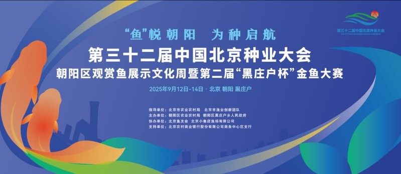 哪個市場的龍魚品種最全？（廣州龍魚批發市場）