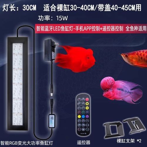 血紅龍魚缸燈光系統(tǒng)需要多少錢？（紅龍魚缸燈光系統(tǒng)價格） 血紅龍魚缸燈光系統(tǒng)需要多少錢？（紅龍魚缸燈光系統(tǒng)價格） 龍魚百科 第7張