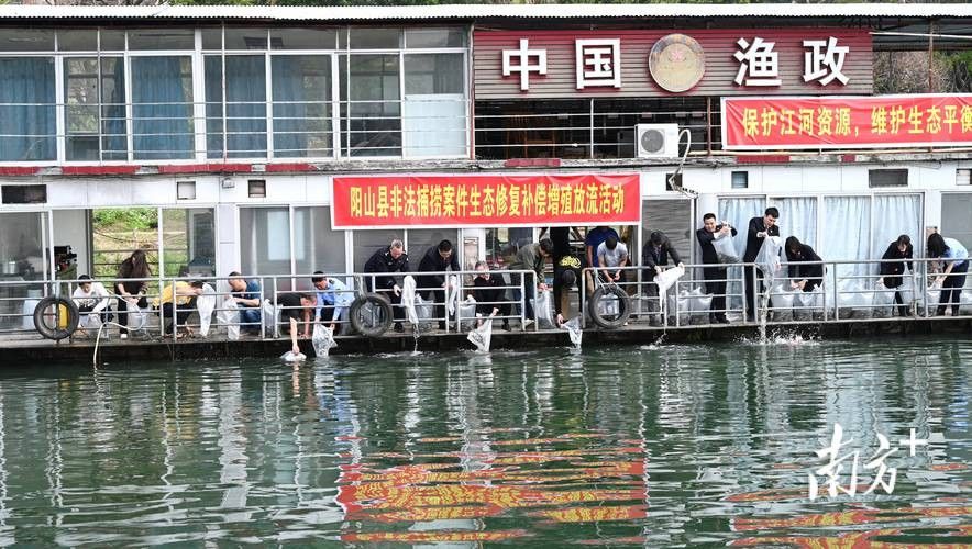 山陽哪個水族館龍魚好？祥龍魚場龍魚（山陽祥龍魚場） 山陽哪個水族館龍魚好？祥龍魚場龍魚（山陽祥龍魚場） 龍魚百科 第2張