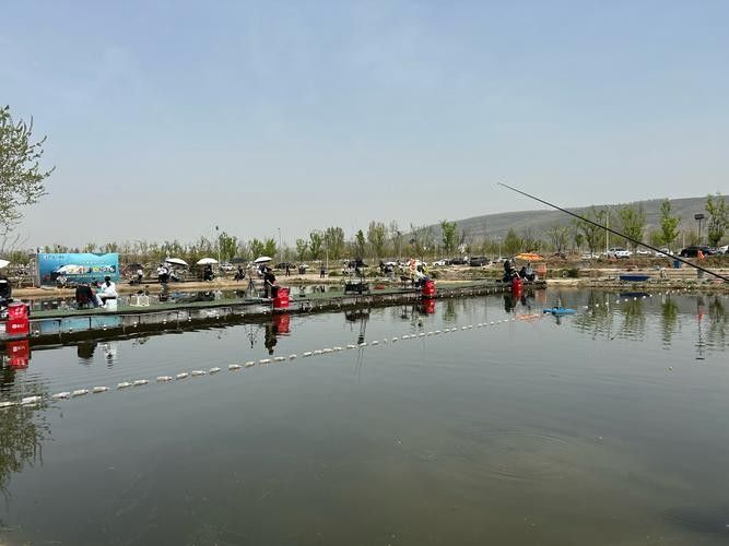 山陽哪個水族館龍魚好？祥龍魚場龍魚（山陽祥龍魚場） 山陽哪個水族館龍魚好？祥龍魚場龍魚（山陽祥龍魚場） 龍魚百科 第4張