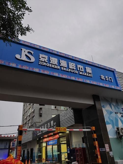 哪里可以買到新鮮的鱘龍魚 龍魚百科 第3張 哪里可以買到新鮮的鱘龍魚 哪里可以買到新鮮的鱘龍魚 龍魚百科 第3張