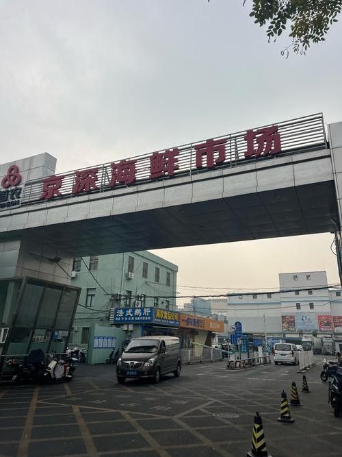 哪里可以買到新鮮的鱘龍魚 龍魚百科 第4張 哪里可以買到新鮮的鱘龍魚 哪里可以買到新鮮的鱘龍魚 龍魚百科 第4張