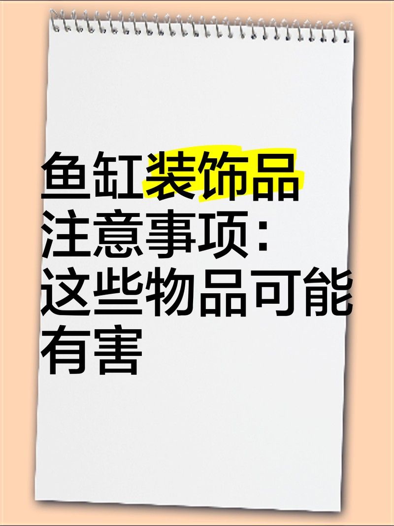 如何判斷龍魚缸裝飾物是否安全（判斷龍魚缸裝飾物的安全性是確保魚類健康和安全的關鍵因素）