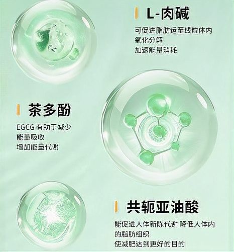 Scep輕脂膠囊有哪些功效？（scep輕脂膠囊有什么功效？）