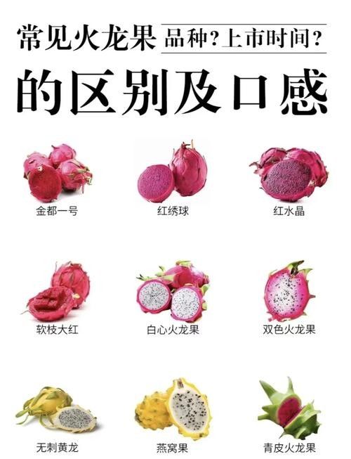如何判斷火龍果是否新鮮？