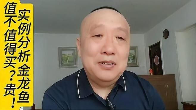 金龍魚股票的技術面分析（金龍魚股票技術面分析） 金龍魚股票的技術面分析（金龍魚股票技術面分析） 龍魚百科 第5張