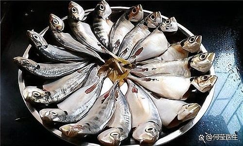 龍尾魚為何要少吃 龍尾魚為何要少吃 觀賞魚百科 第2張