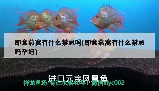 即食燕窩有什么禁忌嗎(即食燕窩有什么禁忌嗎孕婦)（即食燕窩有什么禁忌嗎）