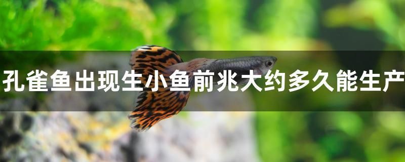 雷龍魚吃小魚嗎(雷龍魚吃活魚嗎)(雷龍魚會吃小魚嗎?) 觀賞魚百科 第2張 雷龍魚吃小魚嗎(雷龍魚吃活魚嗎)(雷龍魚會吃小魚嗎?) 雷龍魚吃小魚嗎(雷龍魚吃活魚嗎)(雷龍魚會吃小魚嗎?) 觀賞魚百科 第2張